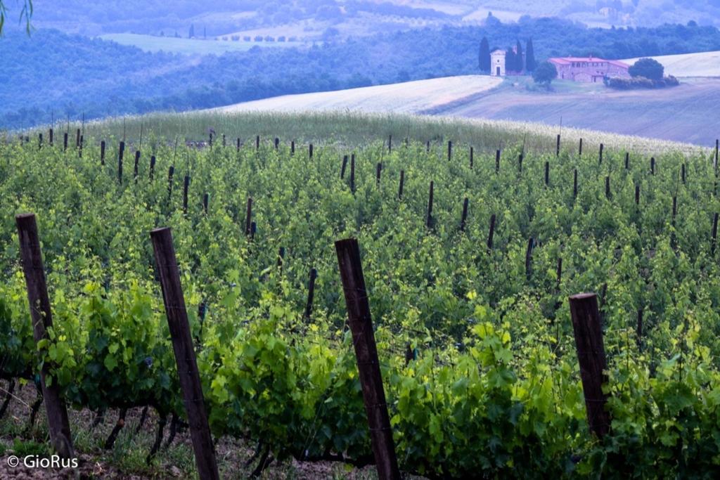 Agriturismo La Buca Di Bellugi San Quirico dʼOrcia Kültér fotó
