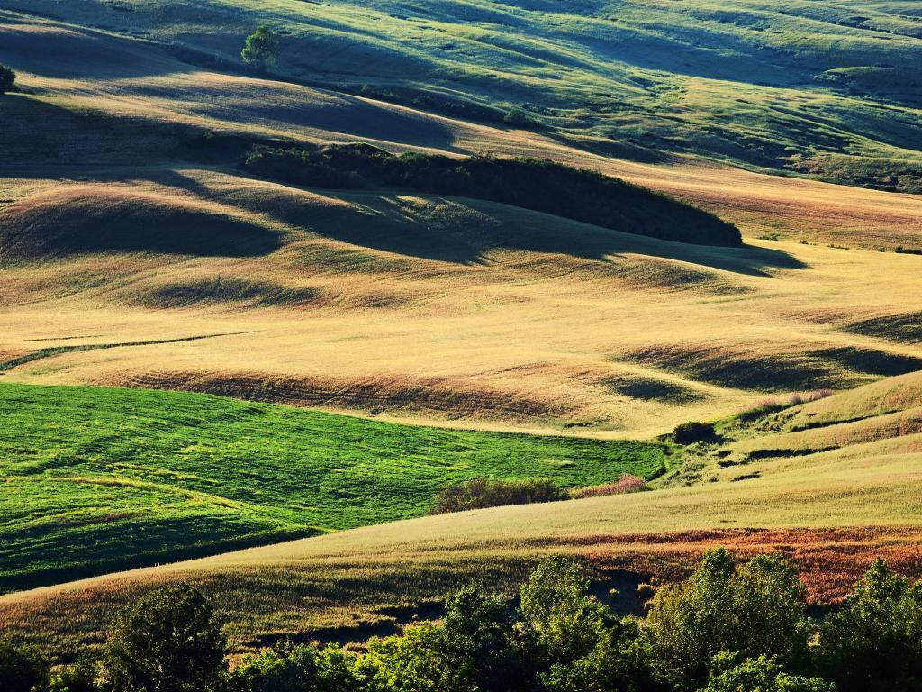 Agriturismo La Buca Di Bellugi San Quirico dʼOrcia Kültér fotó