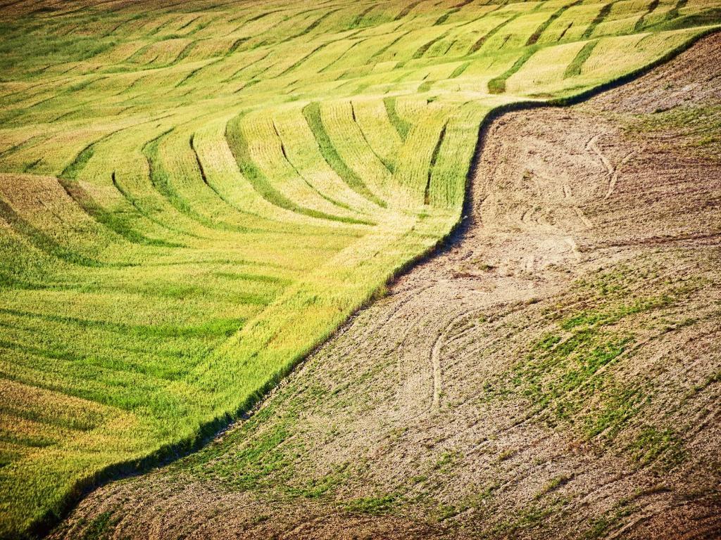 Agriturismo La Buca Di Bellugi San Quirico dʼOrcia Kültér fotó