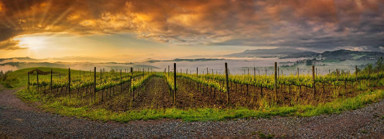 Agriturismo La Buca Di Bellugi San Quirico dʼOrcia Kültér fotó