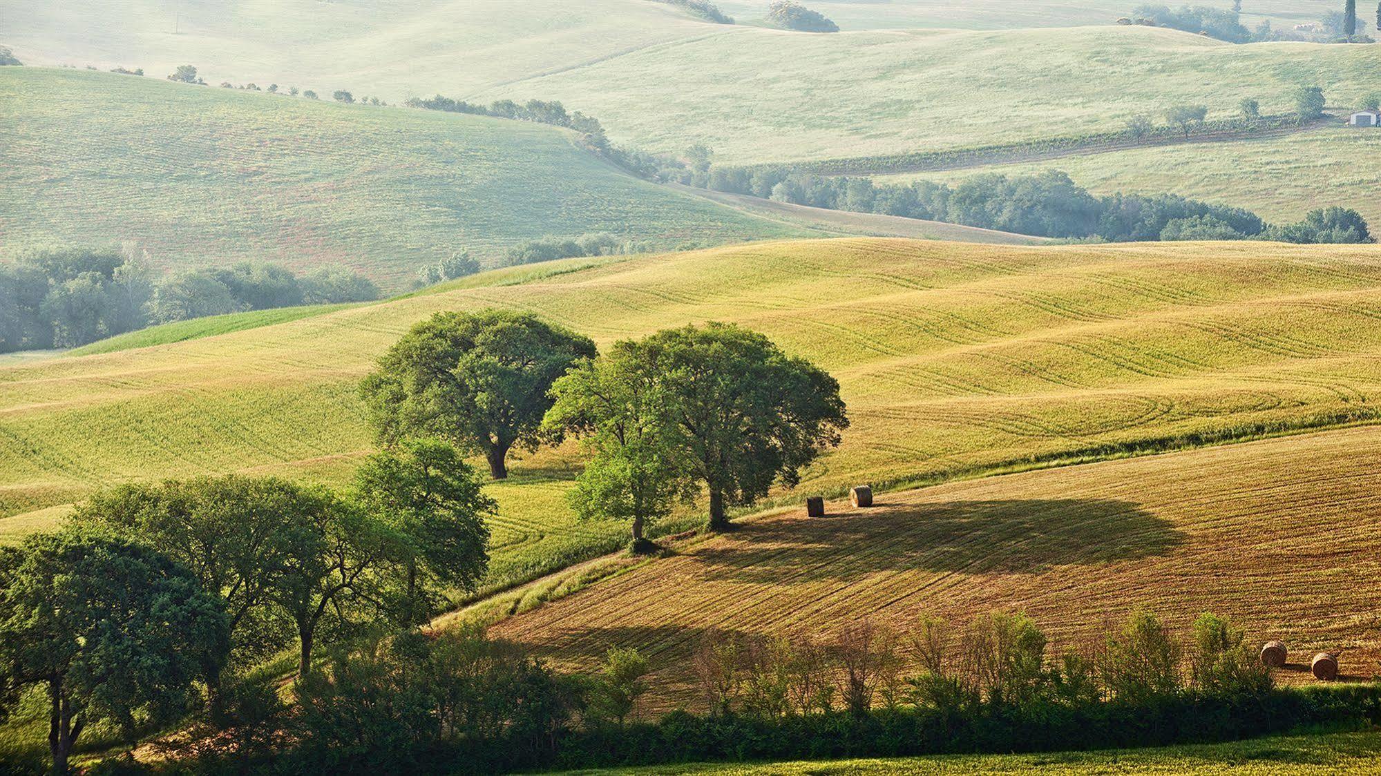Agriturismo La Buca Di Bellugi San Quirico dʼOrcia Kültér fotó