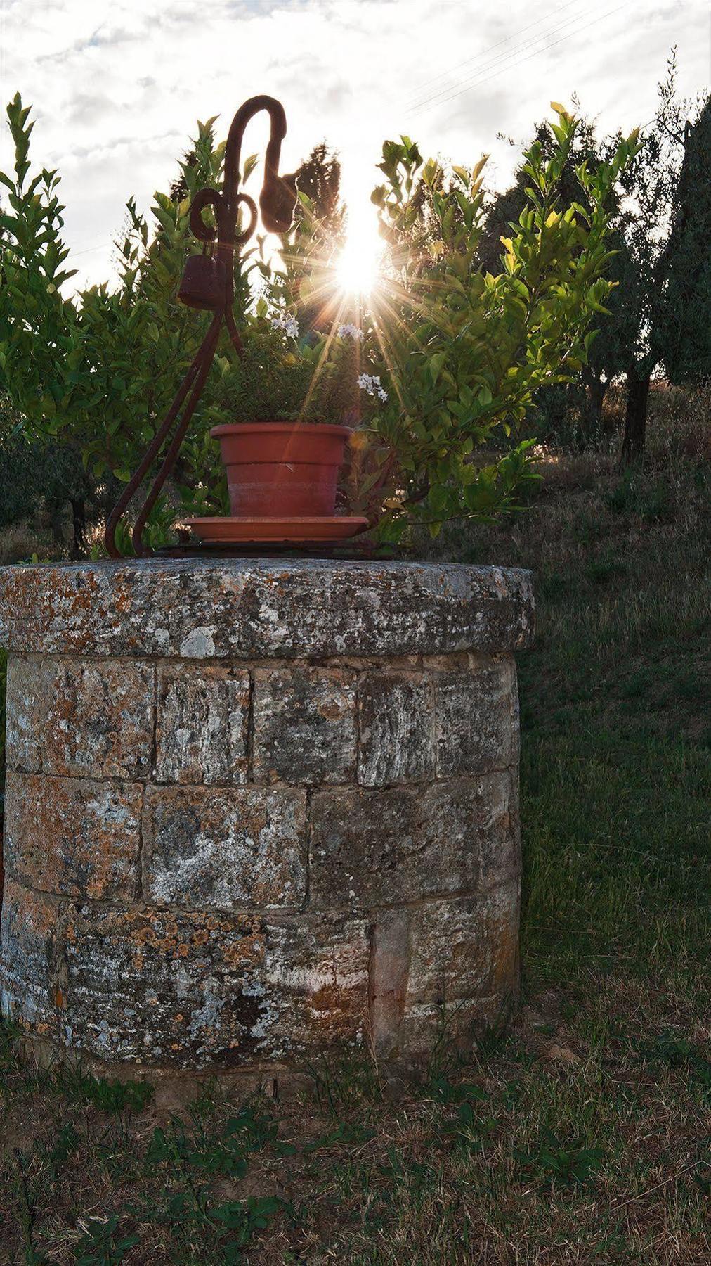 Agriturismo La Buca Di Bellugi San Quirico dʼOrcia Kültér fotó